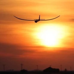 E-flite Night Radian 2.0m PNP 21 E-flite Night Radian 2.0m PNP -RC PLANES Sales EFL36750 A01 JCGR9MJH