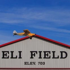 Hangar 9 Carbon Cub 15cc ARF, 90" 40 Hangar 9 Carbon Cub 15cc ARF, 90" -RC PLANES Sales HAN5065 A8 Y3VWKKGS