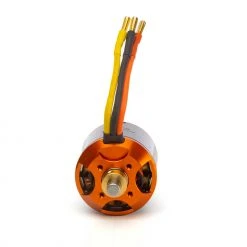 Spektrum Avian 5065-450Kv Outrunner Brushless Motor -RC PLANES Sales SPMXAM4770 A3 KT5Z2P1B