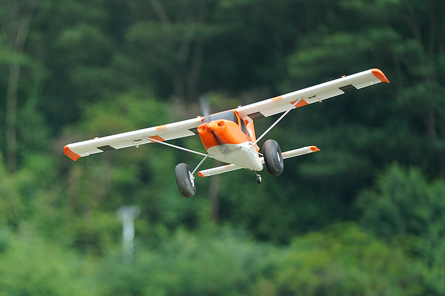 RC Planes sales 46 RC Planes sales -RC PLANES Sales 45634